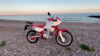 Honda Dominator Nx 650 Rally [upl. by Issiah]