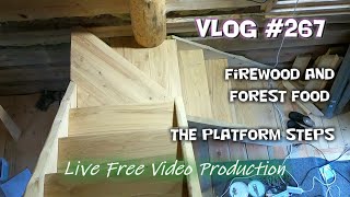 Platform steps Firewood and Forest food Vlog 267  S6 [upl. by Rutledge]