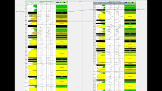 How to add a Lithology Track in Petrel [upl. by Kevon]