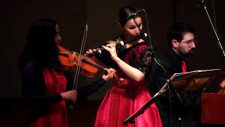 Graun  Trio Sonata in F major  Croatian Baroque Ensemble [upl. by Matthei61]