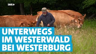 Einfach kann jeder – Der Westerwald rund um Westerburg [upl. by Hake]