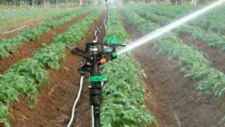 a spriklers system I instaled in India for Jain irrigation co [upl. by Polak920]