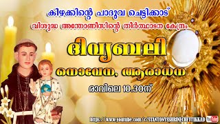 30 JANUARY 2024  ദിവ്യബലി  ST ANTONYS SHRINE CHETTIKKAD [upl. by Mariya]