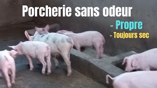 porcherie sans odeur 🐖😳 [upl. by Ash]