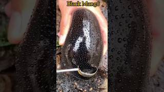 Black Mango 🥭 mango beautiful beautifulnature fruit fruits food foodblogger shorts facts [upl. by Nerita763]