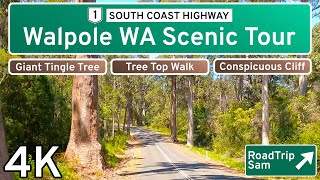 Scenic Drive around Walpole  Nornalup  Western Australia  Ambient Sound  POV [upl. by Eimmelc235]