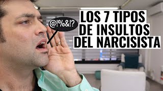 Los 7 Tipos De Insultos De Los Narcisistas [upl. by Anelys]