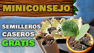 ▶ Cómo Hacer Semilleros Caseros GRATIS 🌱 Almácigos Biodegradables  Huerto Urbano en Casa [upl. by Yak]