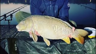 BIG CARP AT DRAYTON RESERVOIR 24HR SESSION [upl. by Nolur231]