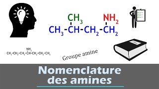 Nomenclature des amines  chimie organique [upl. by Lirva701]