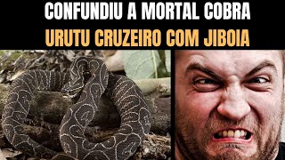 Confundiu Cobra Urutu cruzeiro com Jiboia  Biólogo Henrique O Biólogo das Cobras [upl. by Rhys]