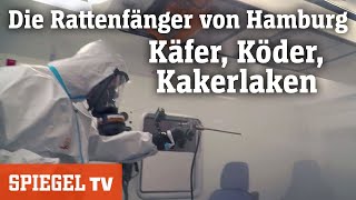 Die Rattenfänger von Hamburg Käfer Köder Kakerlaken  SPIEGEL TV [upl. by Fiora]