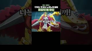 🔥미친 작화🔥 라이브와 전투씬을 전부 챙긴 극장판 원피스 onepiece [upl. by Krasner]