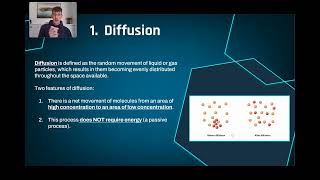 241  Movement across membranes Diffusion [upl. by Solegna287]