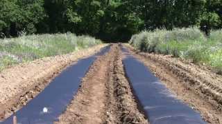 Introduction to Plasticulture and Drip Irrigation [upl. by Bianka656]