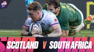 Scotland v South Africa  Extended Match Highlights  Autumn Nations Series [upl. by Coheman]