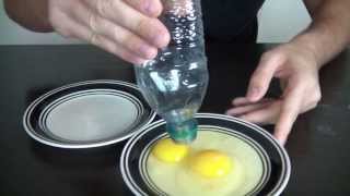 10 Amazing Science Experiments you can do with Eggs [upl. by Nimzay]