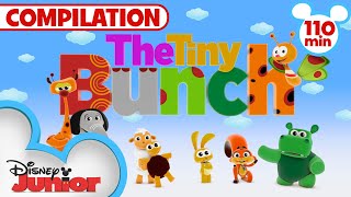 The GIANT Tiny Bunch Compilation  Kids Songs amp Nursery Rhymes  110 Minutes  disneyjr [upl. by Bab621]