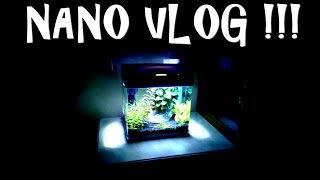 VLOG NANO 20 LITRES POISSON COMBATTANT [upl. by Alvinia]