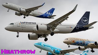 Heathrow Airport Plane Spotting  Runway 27L Arrivals  Myrtle Avenue [upl. by Sansone]