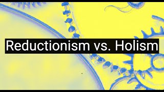 Reductionism vs Holism Battle of Philosophical Methodologies [upl. by Carhart]