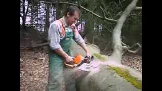 MOTOSIERRA STIHL MS 310 [upl. by Didi]