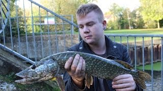 SCTV Episode 26 River Mole Pike Fishing Ft Aarons Dad [upl. by Sunny245]