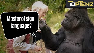 10 Amazing Ways Animals Are Smarter Than You Think [upl. by Klug]