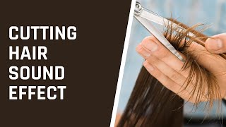 Cutting Hair Sound Effect  Scissors Sound Effect [upl. by Ris653]