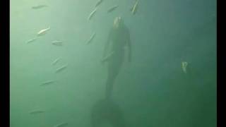 Mermaid filmed in Australia [upl. by Elatia64]