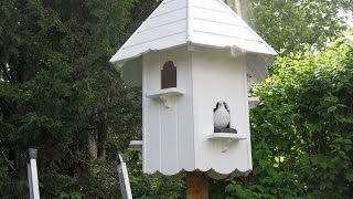 How to build a Dovecote  Part 2 [upl. by Eibber326]