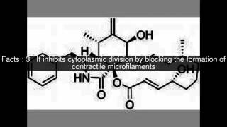 Cytochalasin B Top 7 Facts [upl. by Taft152]