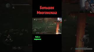 Nioh Большая Многоножка nioh niohпрохождение ниох [upl. by Adnoel]