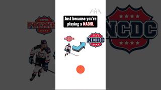 Why you are NOT guaranteed to make the jump to a higher league ahadvising hockey ncaa usphl [upl. by Llyrpa166]