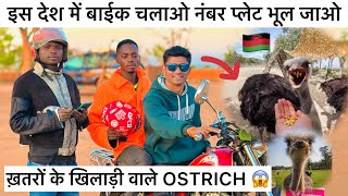 Khatron Ke Khiladi Wala Ostrich 😱  Without Number Plate Bike’s In Malawi 🇲🇼 [upl. by Mathilde]