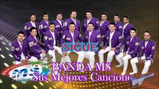 Banda MS Sigue 2013 [upl. by Luanni968]