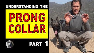 PRONG Collar Explained 1 How to Use a Prong Collar  Robert Cabral  Dog Training Video [upl. by Tebor]