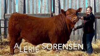 Alerie Sorensen Lot 302 [upl. by Utas]