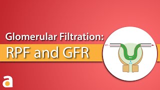 Glomerular Filtration Renal Plasma Flow and Glomerular Filtration Rate RPF amp GFR [upl. by Botti649]