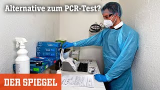 PoCNatTests Ist das die Lösung für den PCREngpass  DER SPIEGEL [upl. by Nylra]