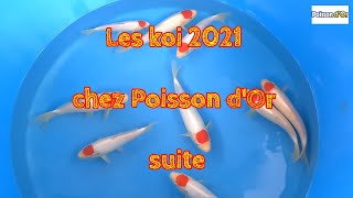 Les tosai 2021 chez Poisson dOr SUITE [upl. by Eltotsira]