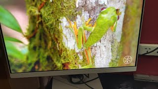 BenQ Monitor GW2790QT review in Hindi [upl. by Ennairb]