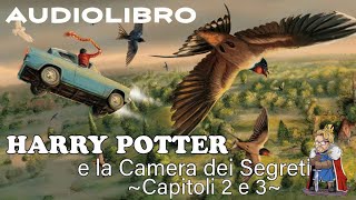 Harry Potter e la camera dei segreti  Lettura e Commento Cap 23  Audiolibro [upl. by Leunamne]