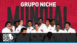 Mix Grupo Niche Mundial  Audio [upl. by Platt]