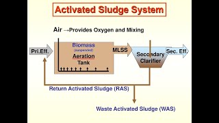 Activated Sludge  Activated Sludge Process  Industrial Wastewater Treatment Plant [upl. by Annawahs]