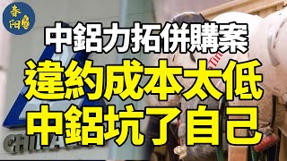 违约费定的太低，中铝坑了自己！中铝并购力拓彻底失败 春阳笔记 [upl. by Towill137]