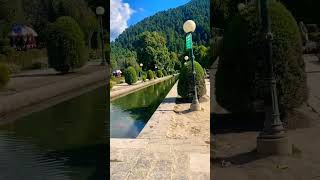 Verinag verinag viralvideo shorts fyp kashmir tourism [upl. by Ida]