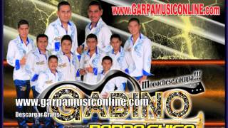 GABINO Y SU BANDA CHICA  SABES AMOR [upl. by Enieledam457]