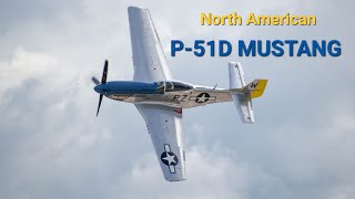 P51D Mustang  Display Flight  Pardubice 2024 [upl. by Mirelle]