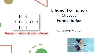 Ethanol formation Fermentation of Glucose Edexcel IGCSE Chemistry [upl. by Festa226]